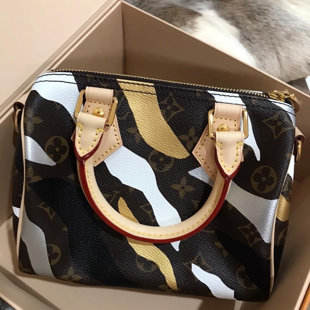 Louis Vuitton Speedy BB 20 Xlol